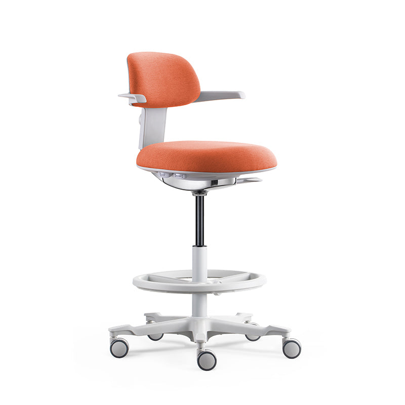 人體工學椅 布背布座 減壓 可升降 腰部支撐 吧椅 BAR Chair